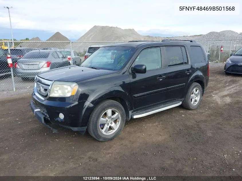 2009 Honda Pilot VIN: 5FNYF48469B501568 Lot: 12123894