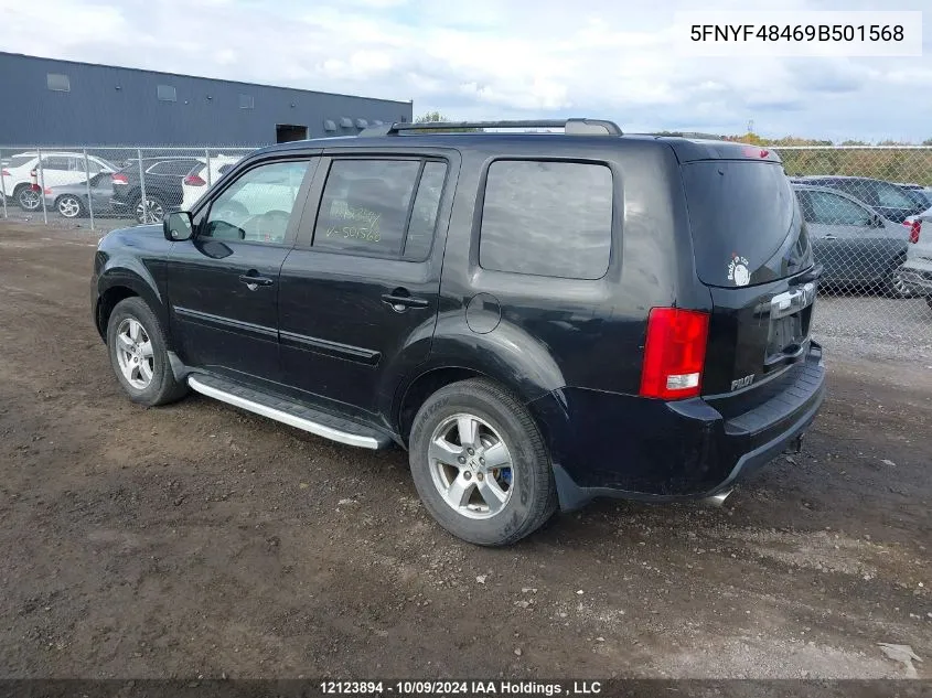 2009 Honda Pilot VIN: 5FNYF48469B501568 Lot: 12123894