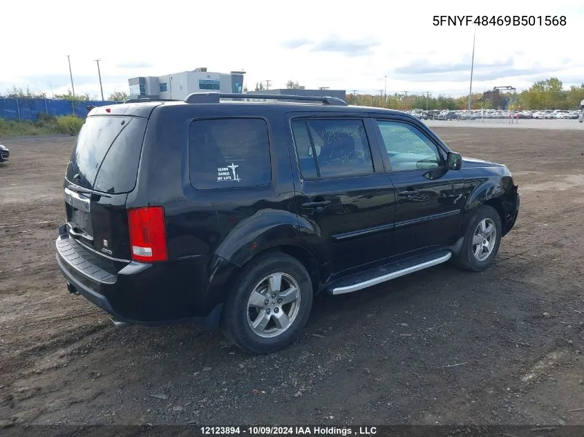 2009 Honda Pilot VIN: 5FNYF48469B501568 Lot: 12123894