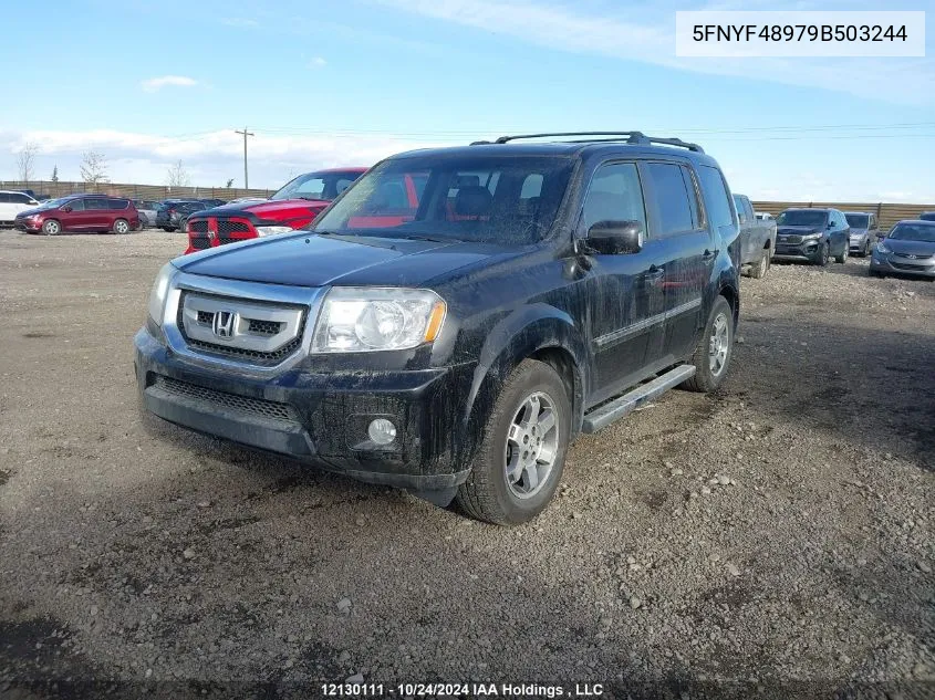 2009 Honda Pilot VIN: 5FNYF48979B503244 Lot: 12130111