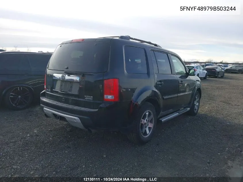 2009 Honda Pilot VIN: 5FNYF48979B503244 Lot: 12130111