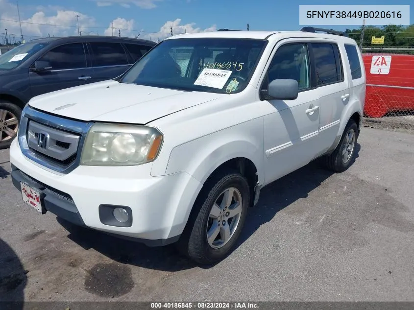 2009 Honda Pilot Ex VIN: 5FNYF38449B020616 Lot: 40186845