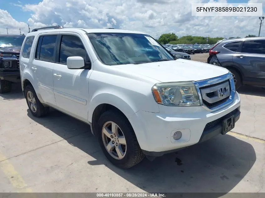 2009 Honda Pilot Ex-L VIN: 5FNYF38589B021230 Lot: 40193857