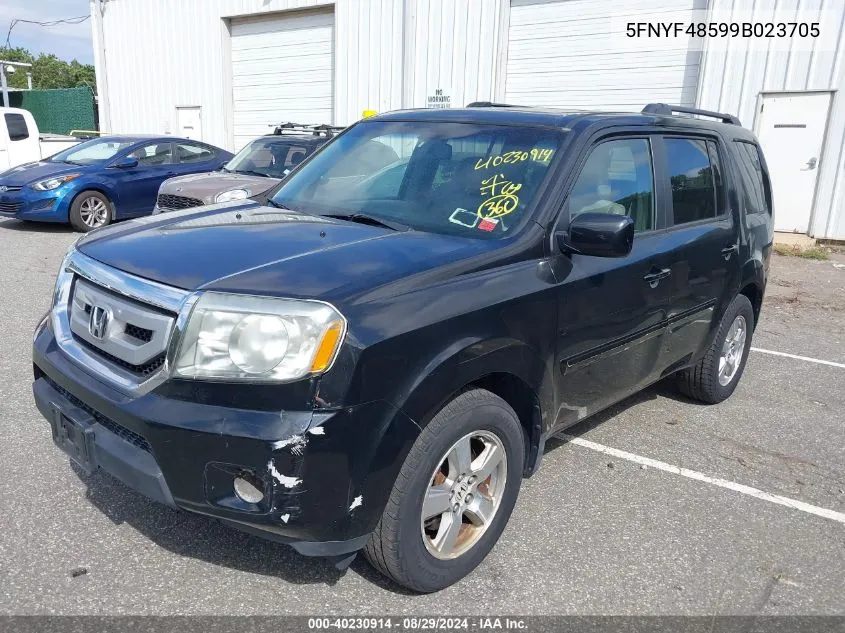 2009 Honda Pilot Ex-L VIN: 5FNYF48599B023705 Lot: 40230914