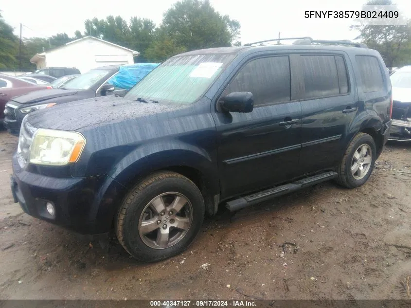 2009 Honda Pilot Ex-L VIN: 5FNYF38579B024409 Lot: 40347127