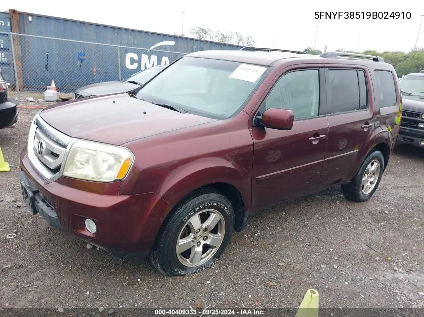 2009 Honda Pilot Ex-L VIN: 5FNYF38519B024910 Lot: 40409333