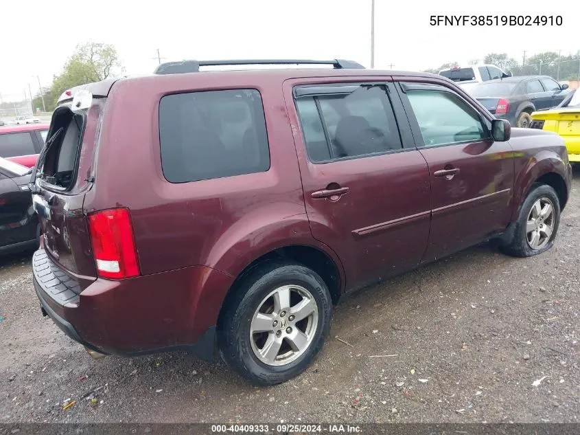 2009 Honda Pilot Ex-L VIN: 5FNYF38519B024910 Lot: 40409333