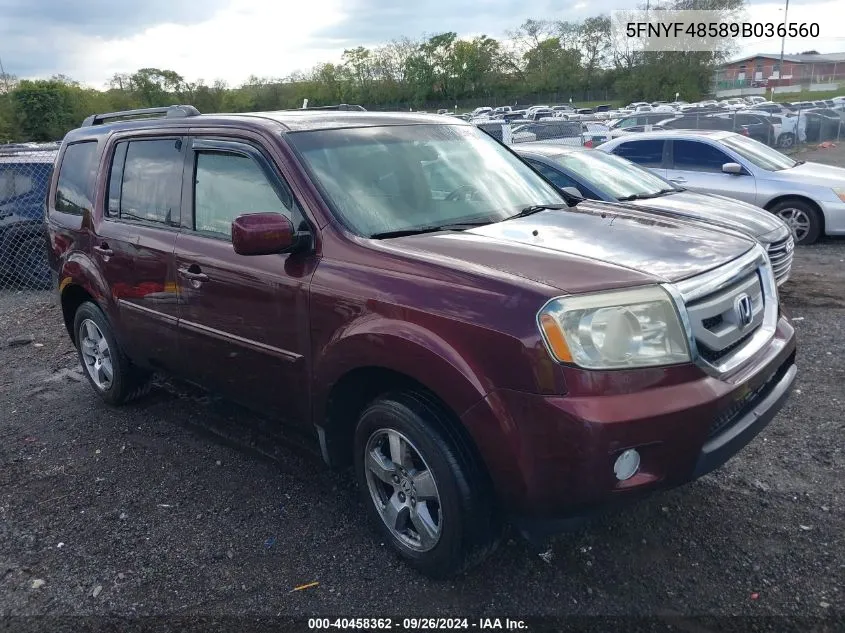 2009 Honda Pilot Ex-L VIN: 5FNYF48589B036560 Lot: 40458362