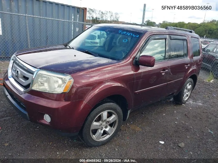 2009 Honda Pilot Ex-L VIN: 5FNYF48589B036560 Lot: 40458362