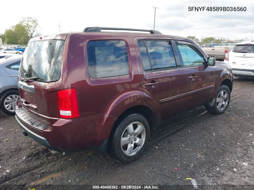 2009 Honda Pilot Ex-L VIN: 5FNYF48589B036560 Lot: 40458362