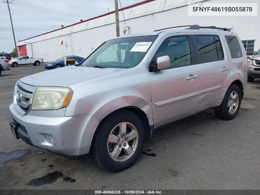 5FNYF48619B055878 2009 Honda Pilot Ex-L