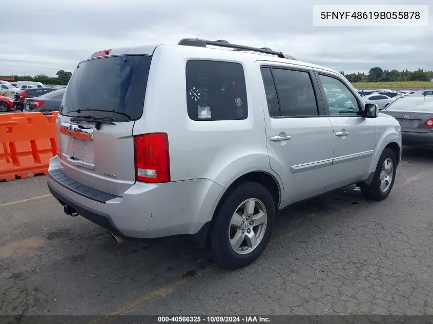 2009 Honda Pilot Ex-L VIN: 5FNYF48619B055878 Lot: 40566325