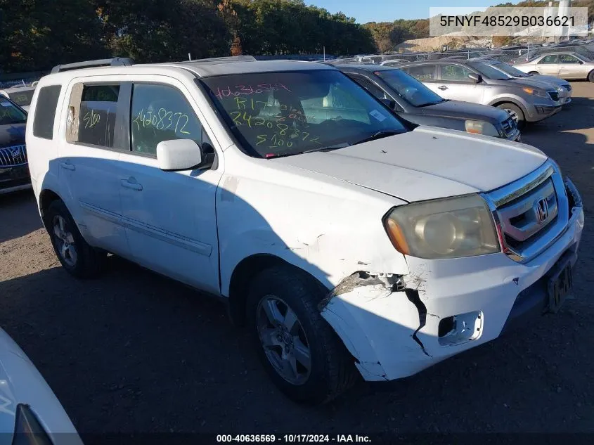 2009 Honda Pilot Ex-L VIN: 5FNYF48529B036621 Lot: 40636569