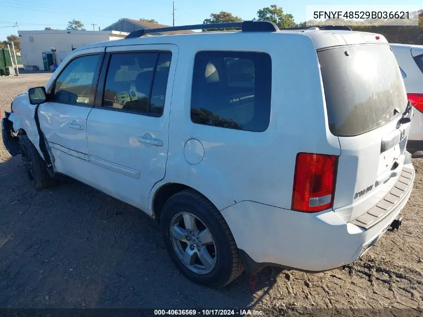 2009 Honda Pilot Ex-L VIN: 5FNYF48529B036621 Lot: 40636569