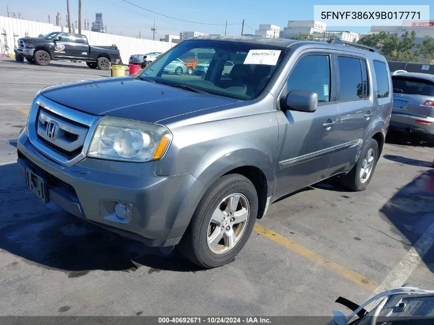 2009 Honda Pilot Ex-L VIN: 5FNYF386X9B017771 Lot: 40692671