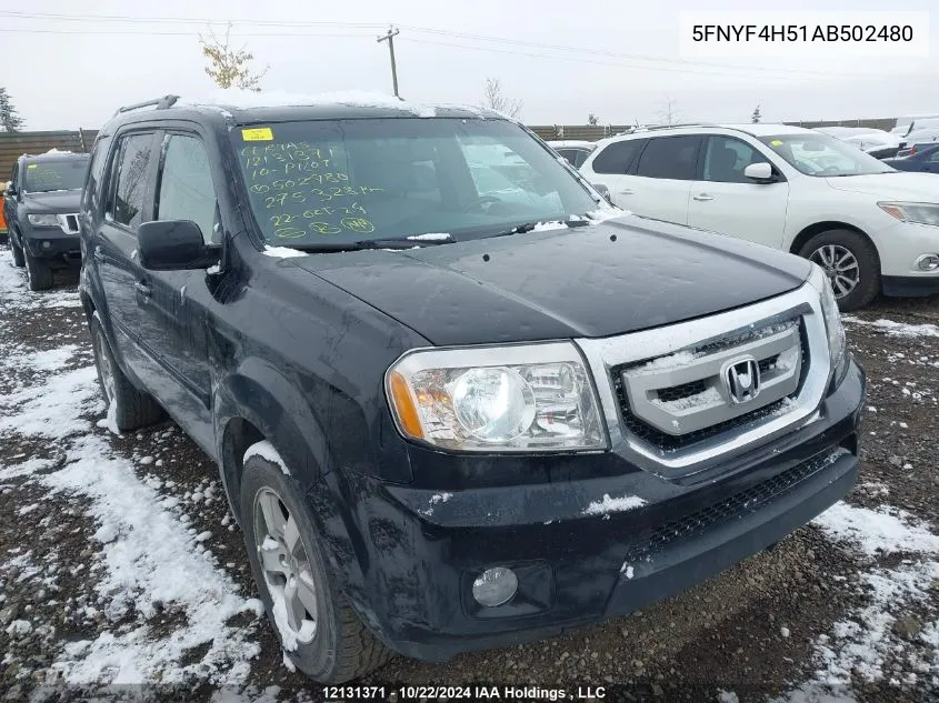 2010 Honda Pilot Exl VIN: 5FNYF4H51AB502480 Lot: 12131371