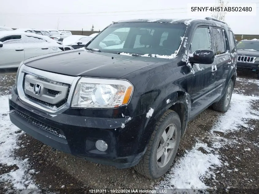 2010 Honda Pilot Exl VIN: 5FNYF4H51AB502480 Lot: 12131371