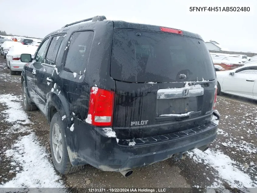 2010 Honda Pilot Exl VIN: 5FNYF4H51AB502480 Lot: 12131371