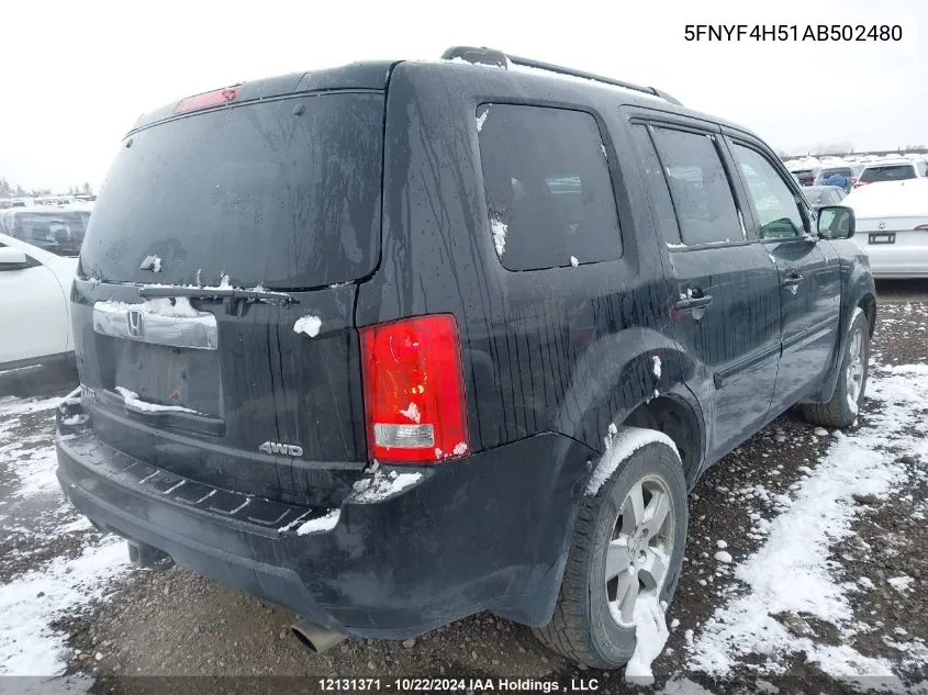 2010 Honda Pilot Exl VIN: 5FNYF4H51AB502480 Lot: 12131371