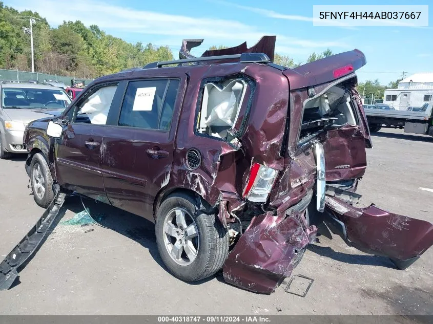 2010 Honda Pilot Ex VIN: 5FNYF4H44AB037667 Lot: 40318747