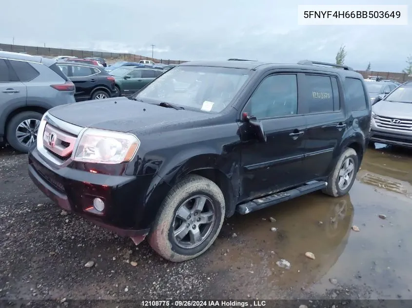 2011 Honda Pilot VIN: 5FNYF4H66BB503649 Lot: 12108775