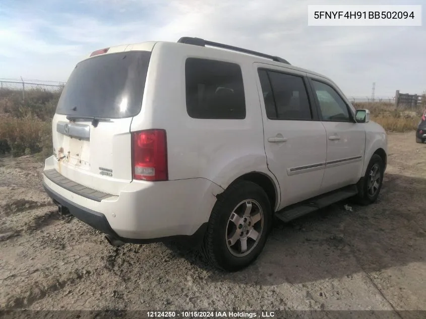 2011 Honda Pilot VIN: 5FNYF4H91BB502094 Lot: 12124250