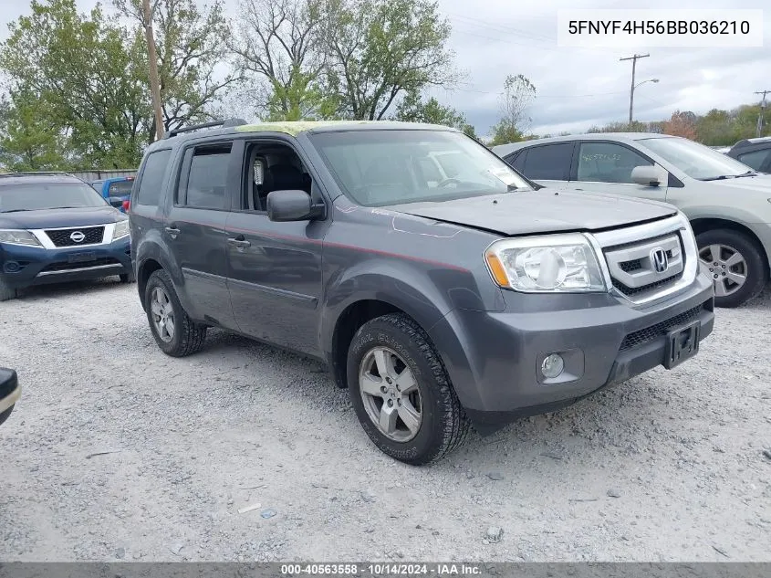 2011 Honda Pilot Exl VIN: 5FNYF4H56BB036210 Lot: 40563558