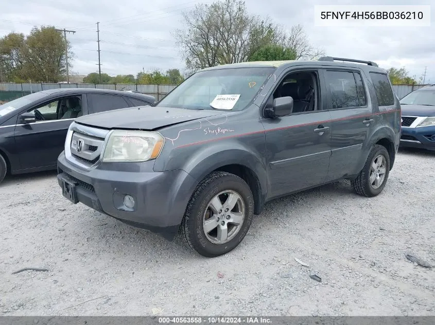 2011 Honda Pilot Exl VIN: 5FNYF4H56BB036210 Lot: 40563558