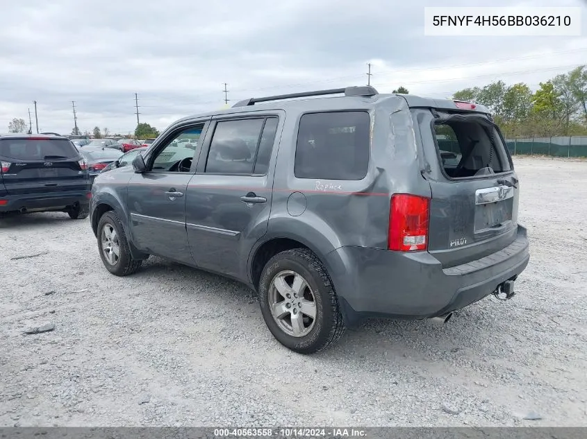 2011 Honda Pilot Exl VIN: 5FNYF4H56BB036210 Lot: 40563558