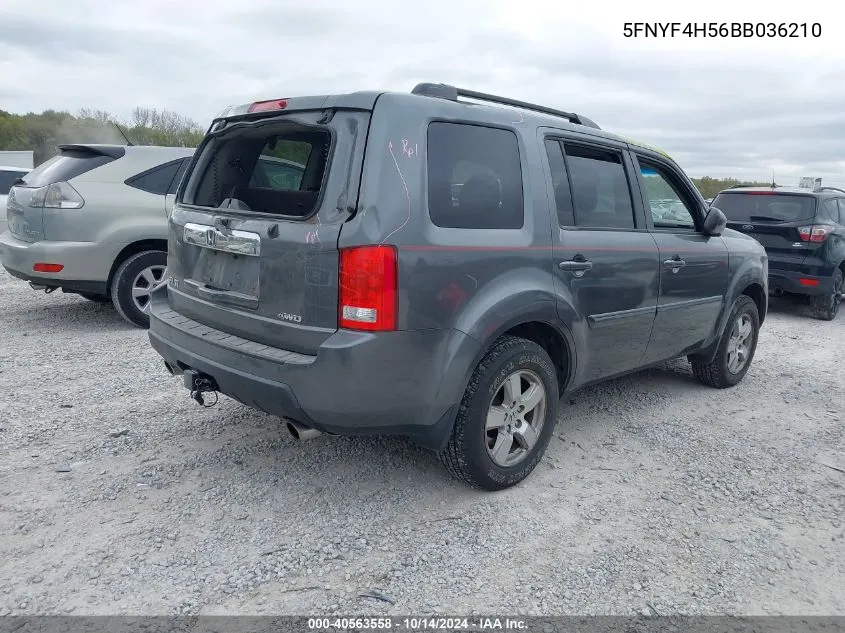 2011 Honda Pilot Exl VIN: 5FNYF4H56BB036210 Lot: 40563558