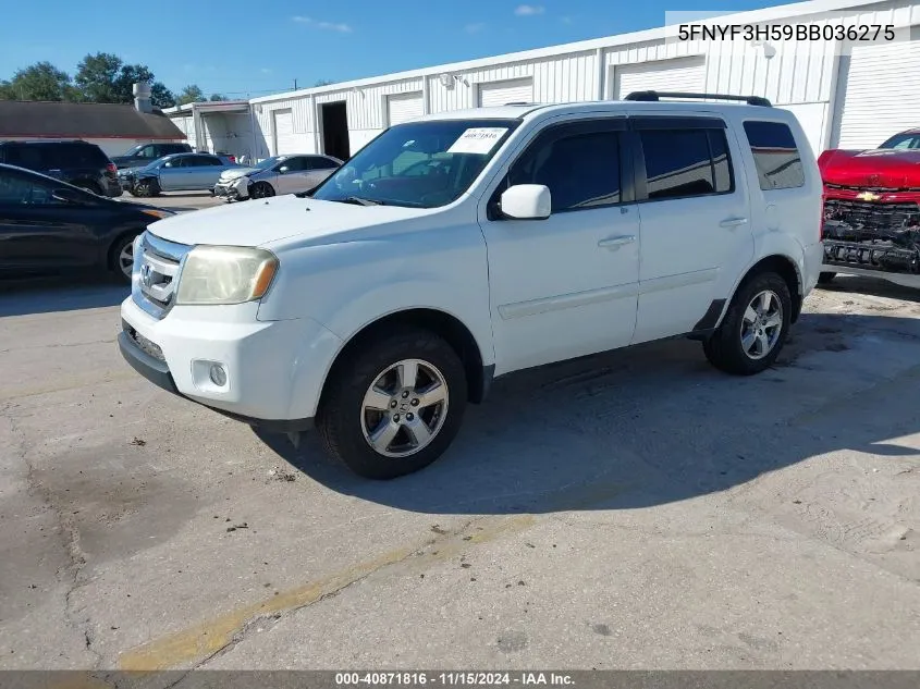 2011 Honda Pilot Ex-L VIN: 5FNYF3H59BB036275 Lot: 40871816