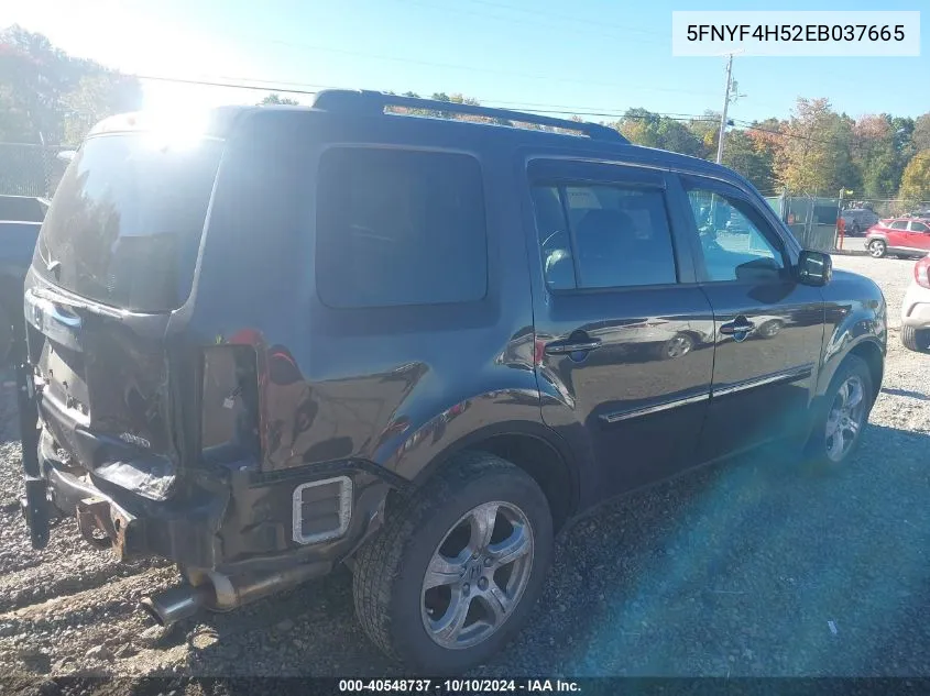 5FNYF4H52EB037665 2014 Honda Pilot Ex-L