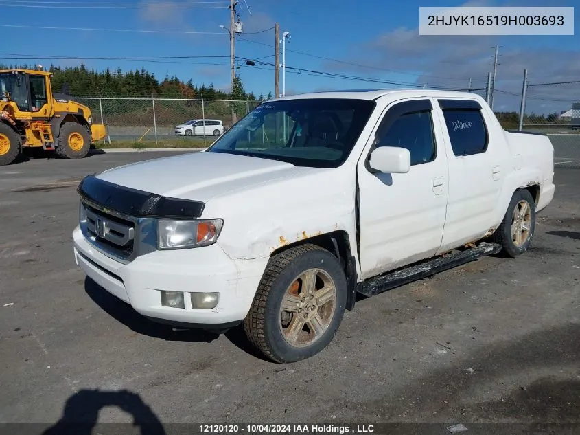 2009 Honda Ridgeline VIN: 2HJYK16519H003693 Lot: 12120120