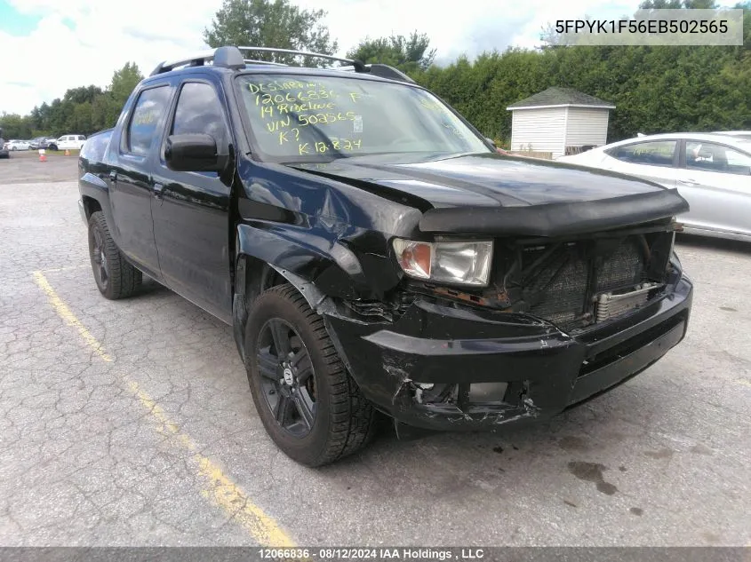 2014 Honda Ridgeline Rtl VIN: 5FPYK1F56EB502565 Lot: 12066836