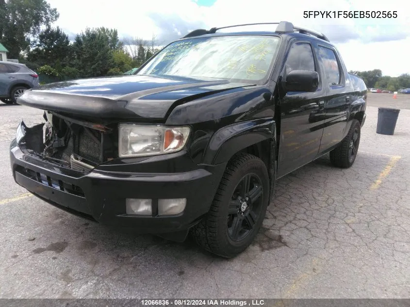 2014 Honda Ridgeline Rtl VIN: 5FPYK1F56EB502565 Lot: 12066836