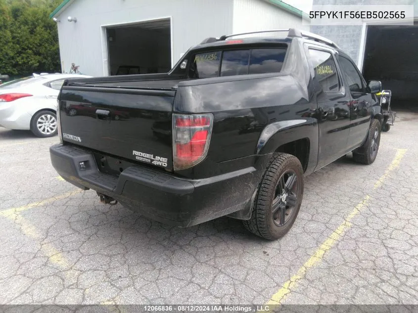 2014 Honda Ridgeline Rtl VIN: 5FPYK1F56EB502565 Lot: 12066836