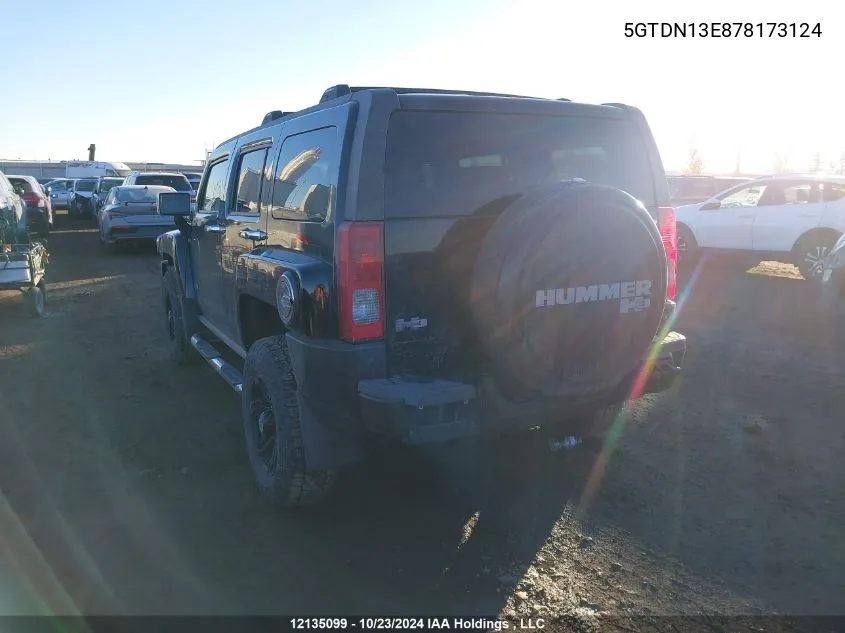 2007 Hummer H3 VIN: 5GTDN13E878173124 Lot: 12135099