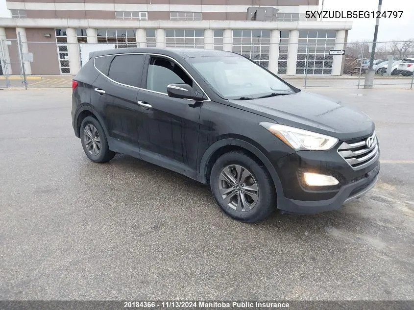 2014 Hyundai Santa Fe 2.4 Luxury VIN: 5XYZUDLB5EG124797 Lot: 20184366