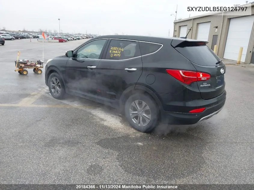 2014 Hyundai Santa Fe 2.4 Luxury VIN: 5XYZUDLB5EG124797 Lot: 20184366