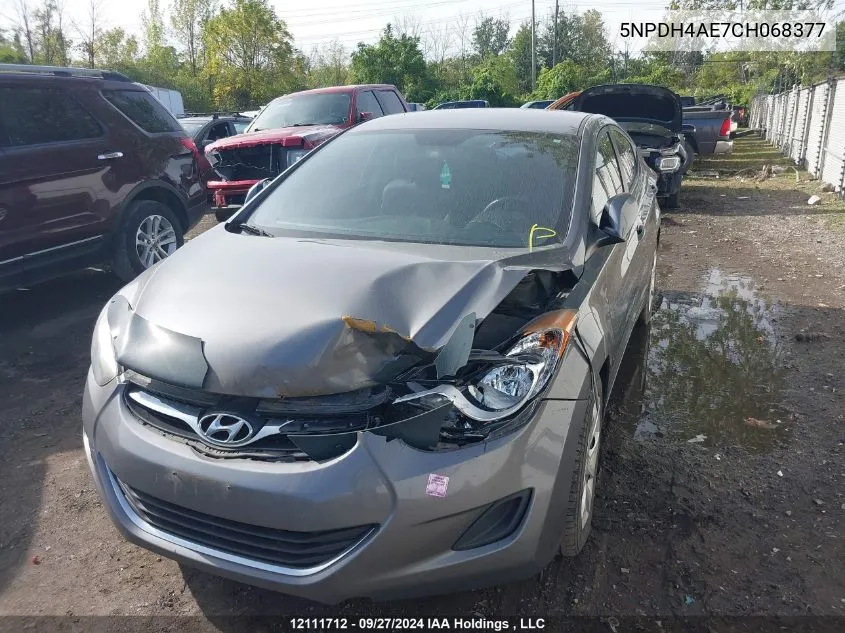 2012 Hyundai Elantra Gls/Limited VIN: 5NPDH4AE7CH068377 Lot: 12111712