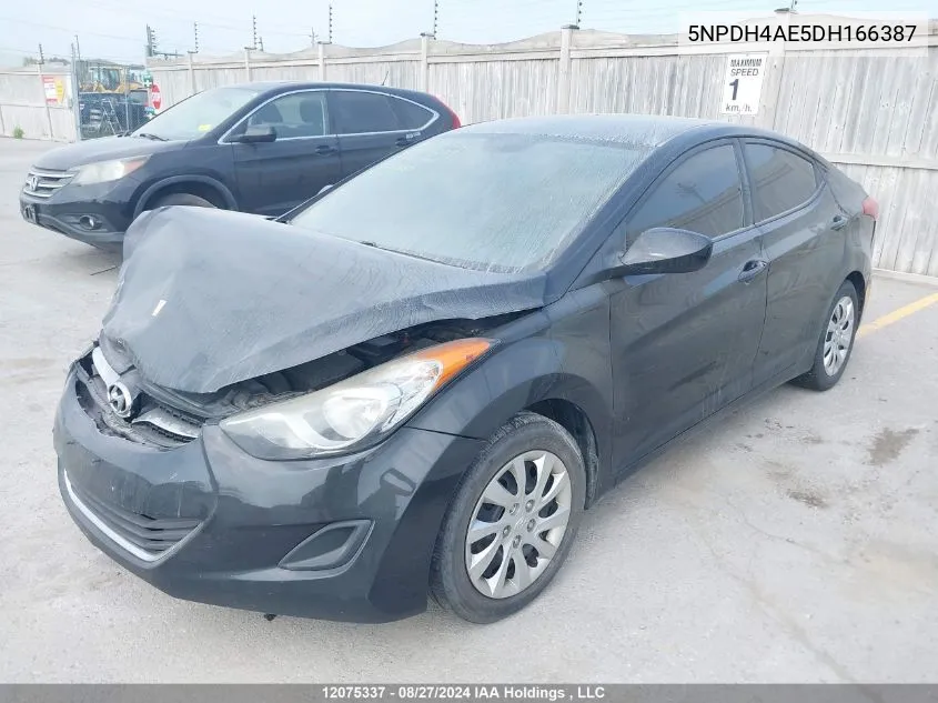 2013 Hyundai Elantra VIN: 5NPDH4AE5DH166387 Lot: 12075337