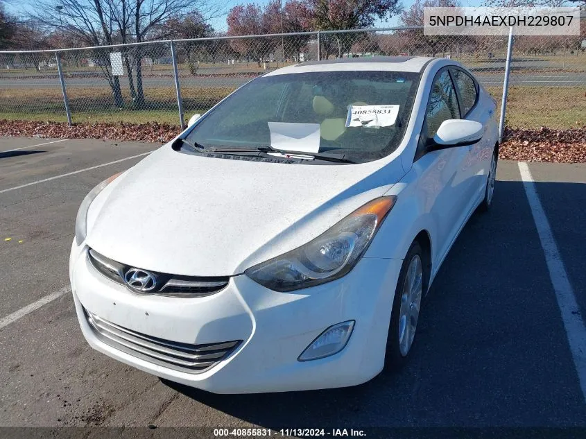 2013 Hyundai Elantra Limited VIN: 5NPDH4AEXDH229807 Lot: 40855831