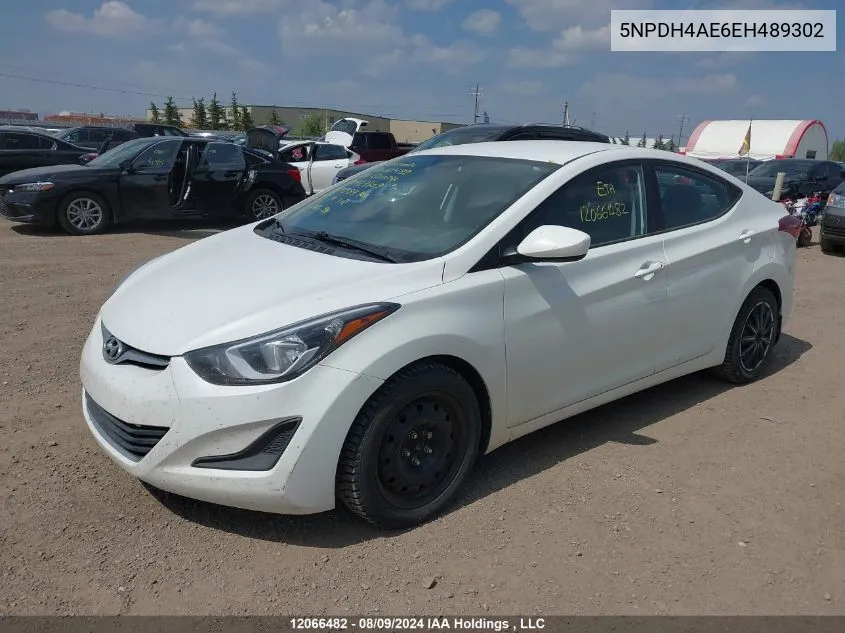 2014 Hyundai Elantra Se/Sport/Limited VIN: 5NPDH4AE6EH489302 Lot: 12066482