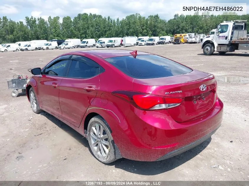 2014 Hyundai Elantra Se/Sport/Limited VIN: 5NPDH4AE7EH486022 Lot: 12067193