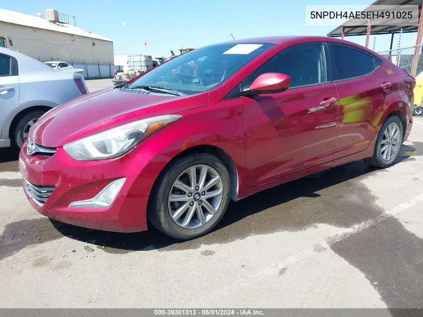 5NPDH4AE5EH491025 2014 Hyundai Elantra Se