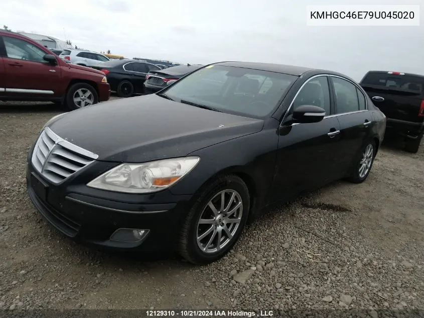 2009 Hyundai Genesis VIN: KMHGC46E79U045020 Lot: 12129310