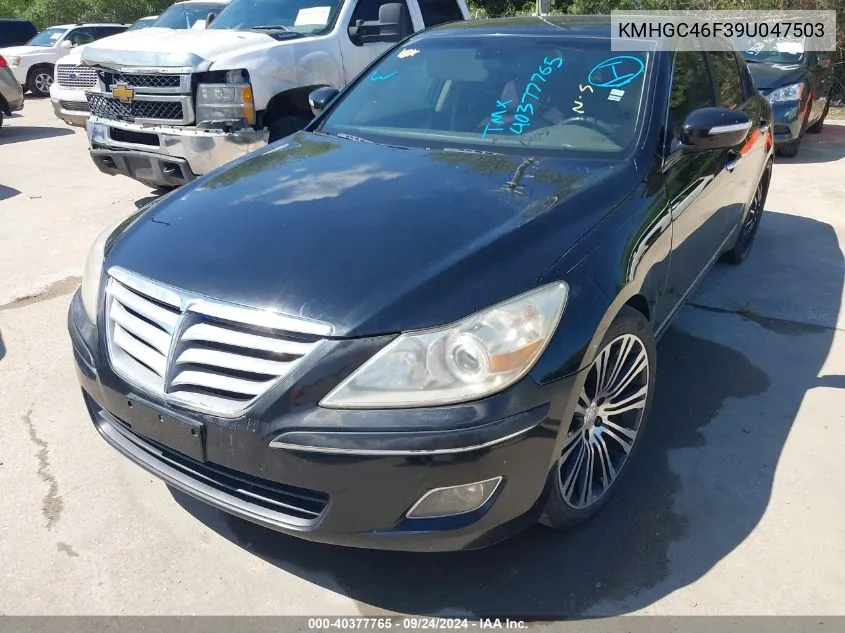 2009 Hyundai Genesis 4.6 VIN: KMHGC46F39U047503 Lot: 40377765