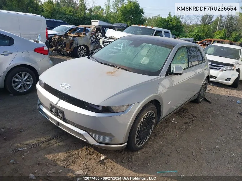 2024 Hyundai Ioniq 5 VIN: KM8KRDDF7RU236554 Lot: 12077485