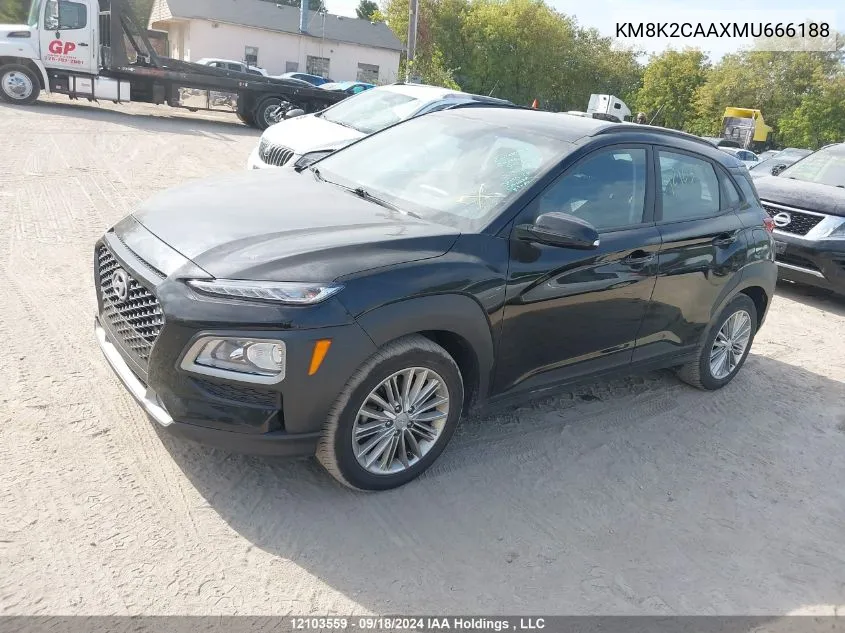 2021 Hyundai Kona Sel VIN: KM8K2CAAXMU666188 Lot: 12103559