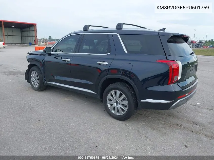 2023 Hyundai Palisade Sel VIN: KM8R2DGE6PU601759 Lot: 39750679